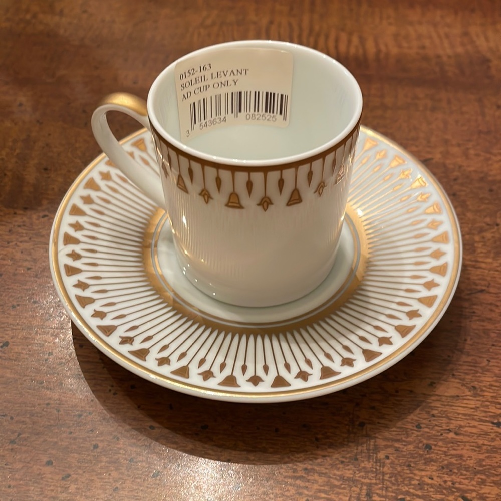 Bernardaud Soleil Levant AD cup and saucer